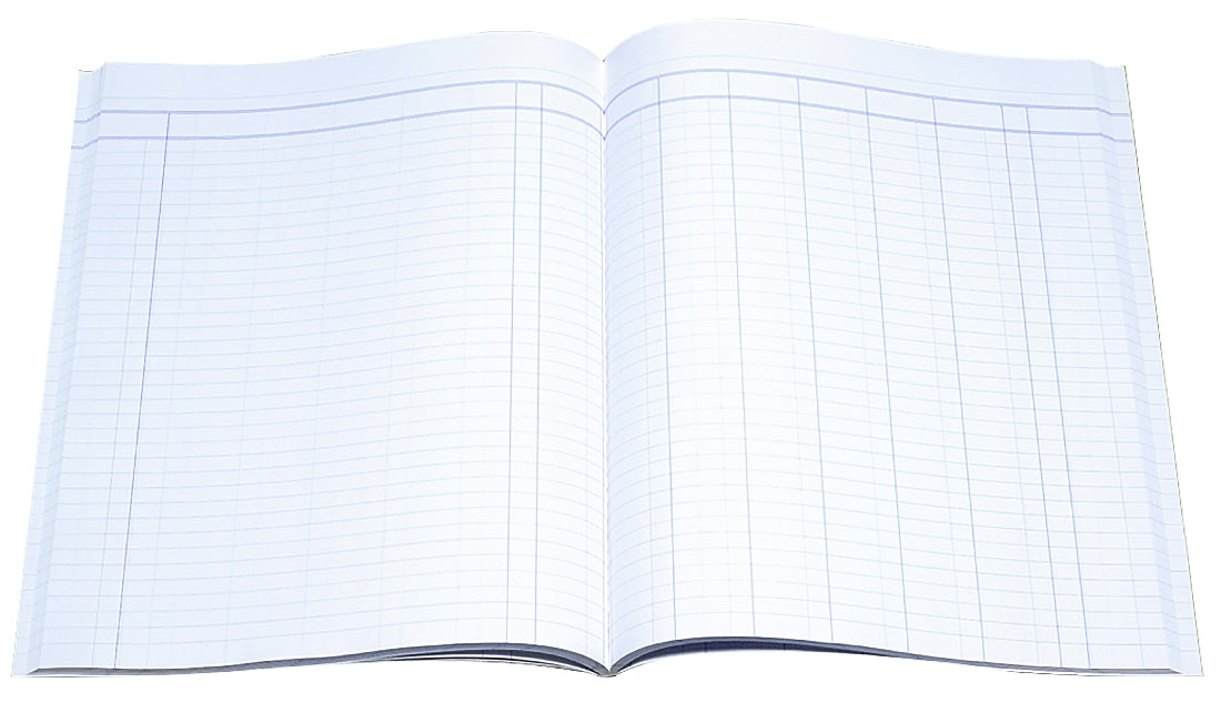 ACCOUNT BOOK COLLINS A24 FEINT