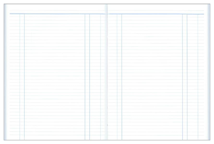 ACCOUNT BOOK COLLINS A24 DAY