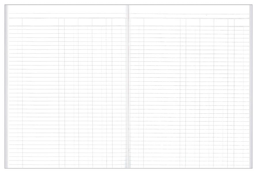 ACCOUNT BOOK COLLINS A24 4MC