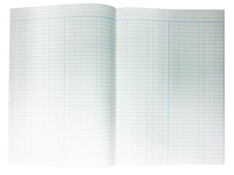 ACCOUNT BOOK COLLINS A60 DOUBLE LEDGER