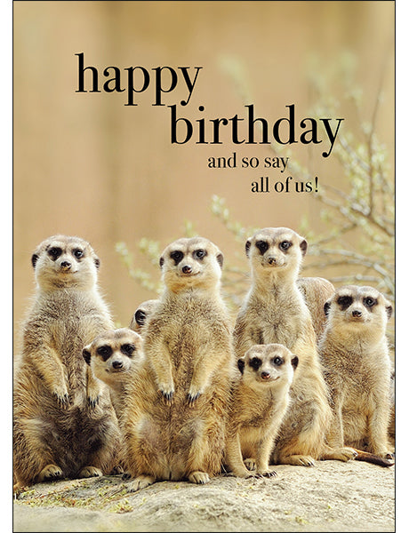 AFFIRMATIONS ANIMAL CARD [DE:HAPPY BIRTHDAY]