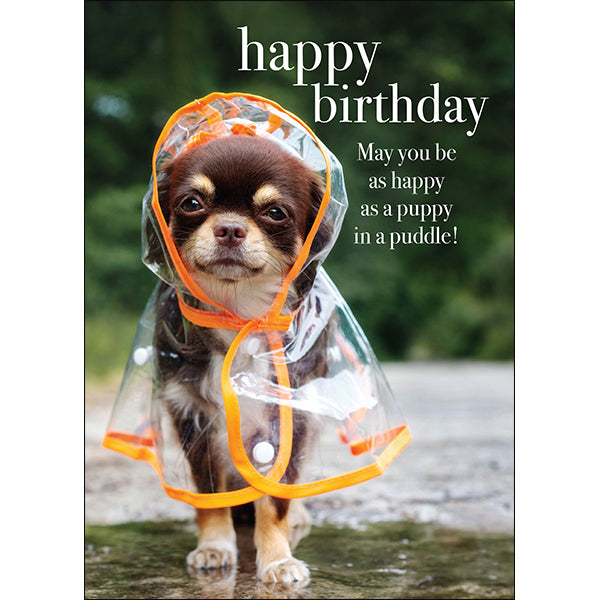 AFFIRMATIONS ANIMAL CARD [DE:HAPPY BIRTHDAY MAY YOU BE]