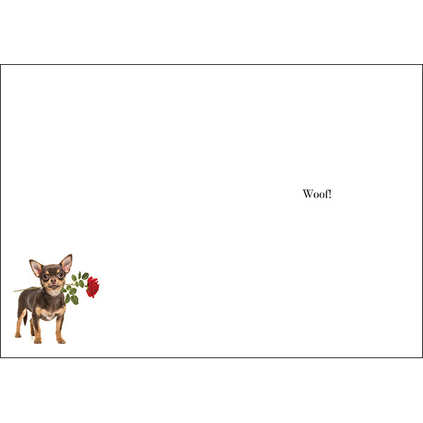 AFFIRMATIONS ANIMAL CARD [DE:HAPPY BIRTHDAY MAY YOU BE]