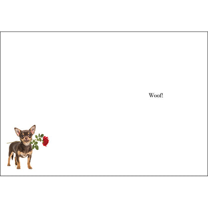 AFFIRMATIONS ANIMAL CARD [DE:HAPPY BIRTHDAY MAY YOU BE]