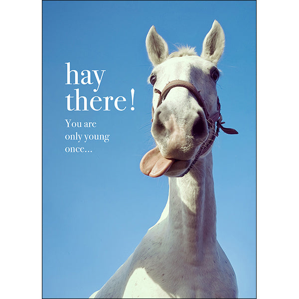 AFFIRMATIONS ANIMAL CARD [DE:HAY THERE!]