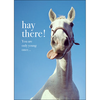 AFFIRMATIONS ANIMAL CARD [DE:HAY THERE!]
