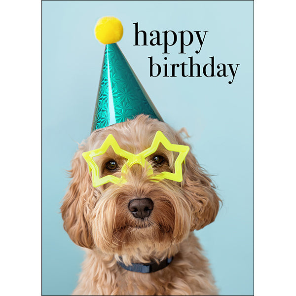 AFFIRMATIONS ANIMAL CARD [DE:HAPPY BIRTHDAY YOU PARTY]
