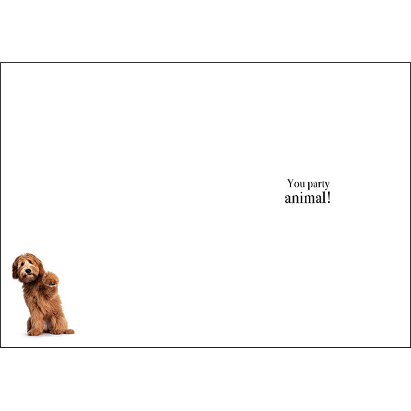AFFIRMATIONS ANIMAL CARD [DE:HAPPY BIRTHDAY YOU PARTY]