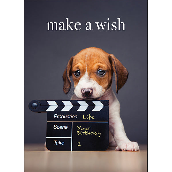 AFFIRMATIONS ANIMAL CARD [DE:MAKE A WISH]