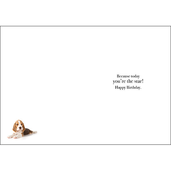 AFFIRMATIONS ANIMAL CARD [DE:MAKE A WISH]
