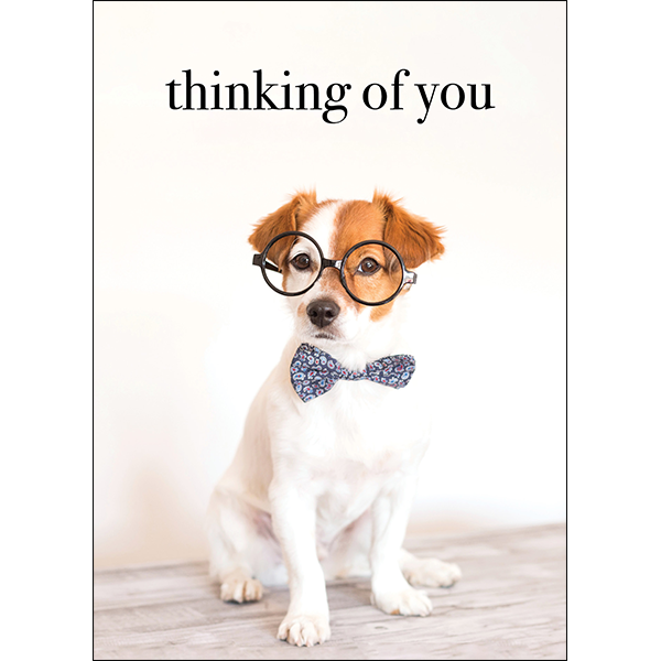 AFFIRMATIONS ANIMAL CARD [DE:THINKING OF YOU]