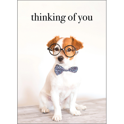 AFFIRMATIONS ANIMAL CARD [DE:THINKING OF YOU]