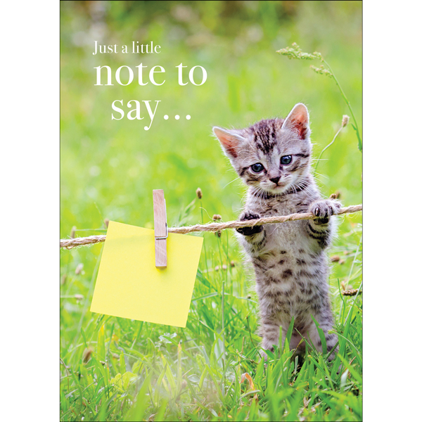 AFFIRMATIONS ANIMAL CARD [DE:JUST A LITTLE NOTE]