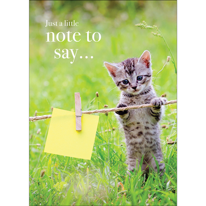 AFFIRMATIONS ANIMAL CARD [DE:JUST A LITTLE NOTE]