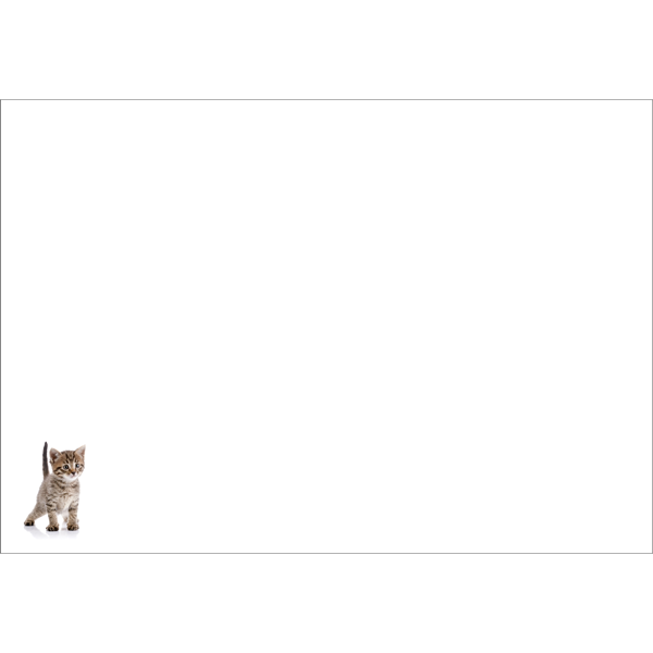AFFIRMATIONS ANIMAL CARD [DE:JUST A LITTLE NOTE]