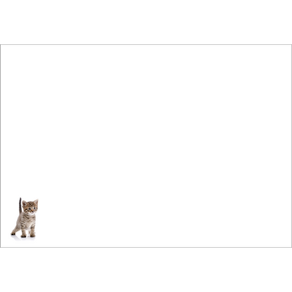 AFFIRMATIONS ANIMAL CARD [DE:JUST A LITTLE NOTE]